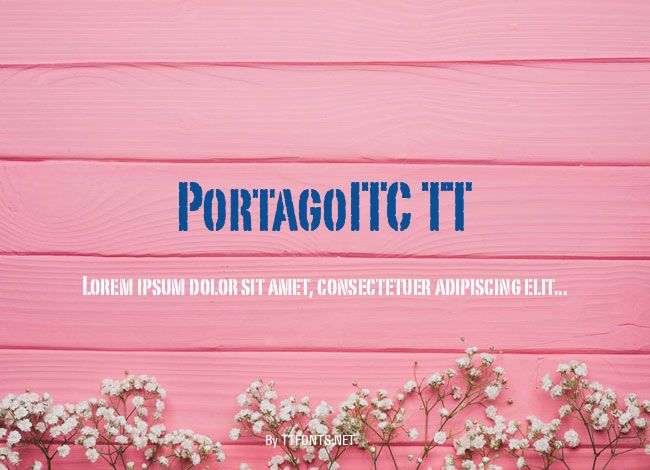 PortagoITC TT example